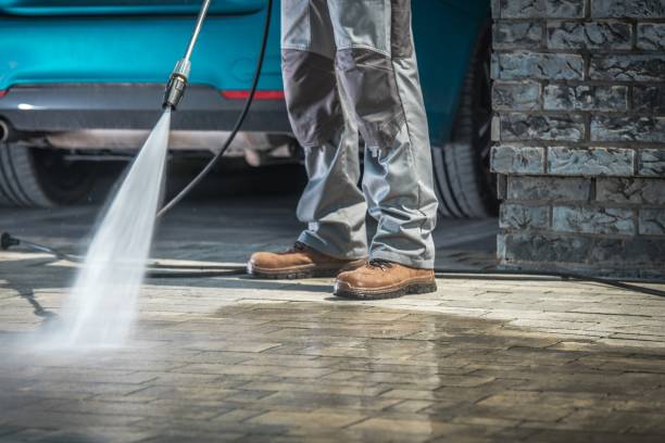 Best Sidewalk and Walkway Cleaning  in Elbow Lake, MN