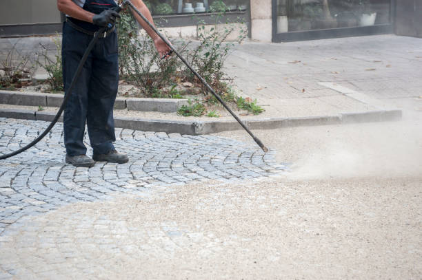Best Factory Floor Cleaning  in Elbow Lake, MN