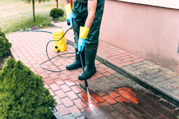 Best Fence Cleaning  in Elbow Lake, MN